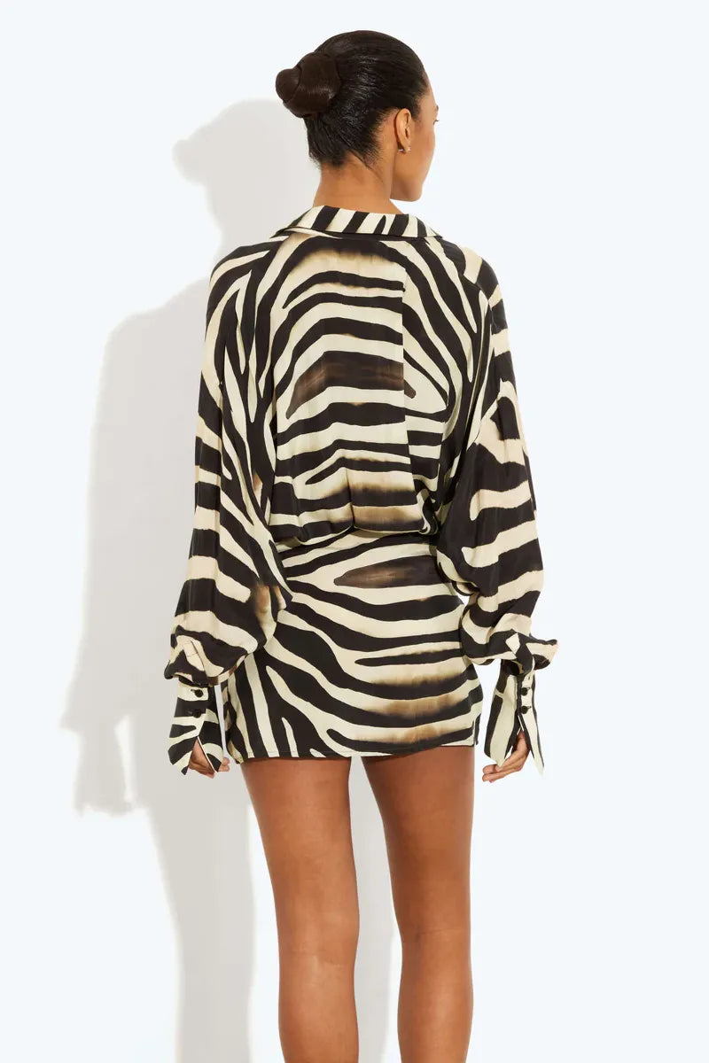 EVIE | Zebra Print Long Sleeve Mini Dress